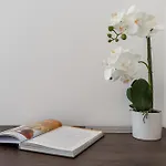 Modern Zia Lux Apartman Split
