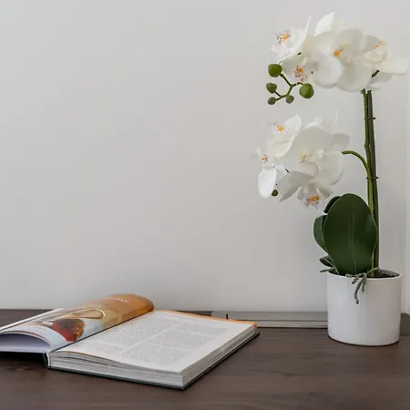 Modern Zia Lux Appartement Split