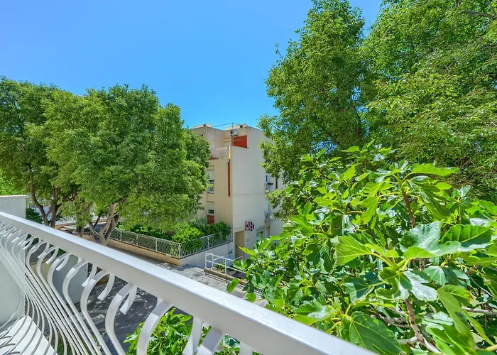 Modern Zia Lux * Split