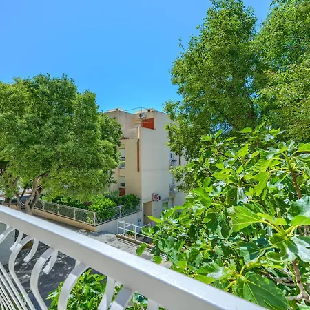 Modern Zia Lux * スプリト