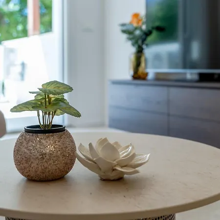 Modern Zia Lux * スプリト