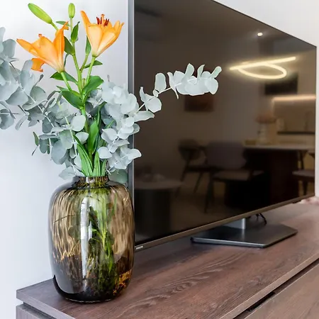 Modern Zia Lux * スプリト