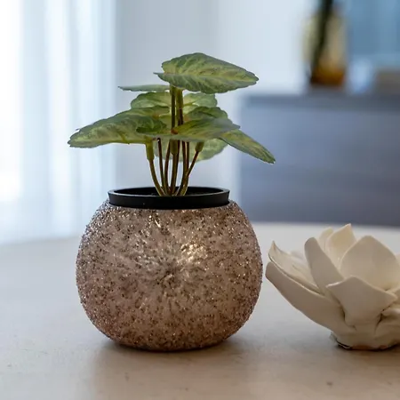 Modern Zia Lux アパート *