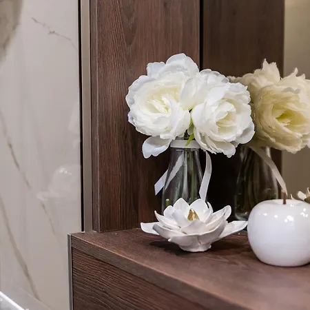 Modern Zia Lux * スプリト